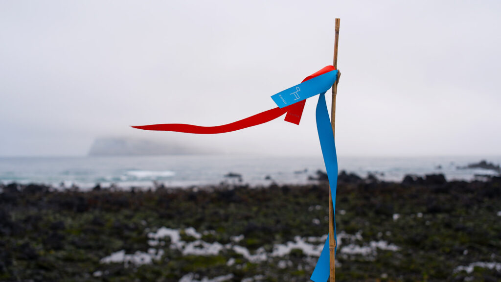 JEJU OLLE Page Top Featured Photo.