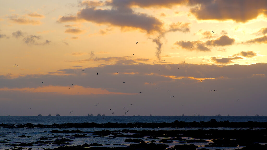 Page Top Featured Photo.